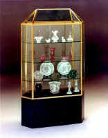 Elegant Curio Case