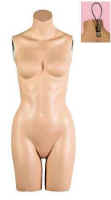 Female 3/4 Torso System Mannequin